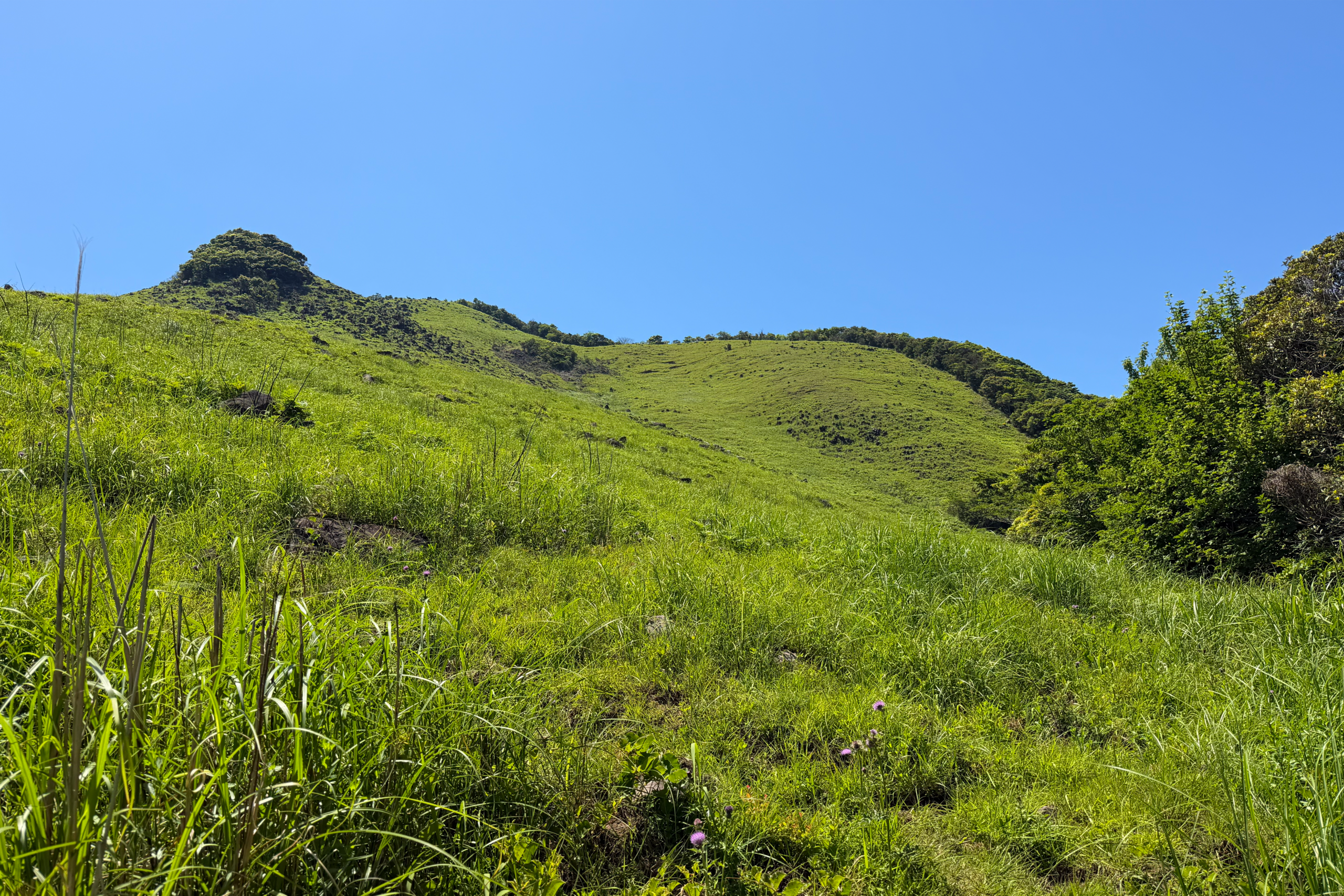 古田湾を見渡す岩峰