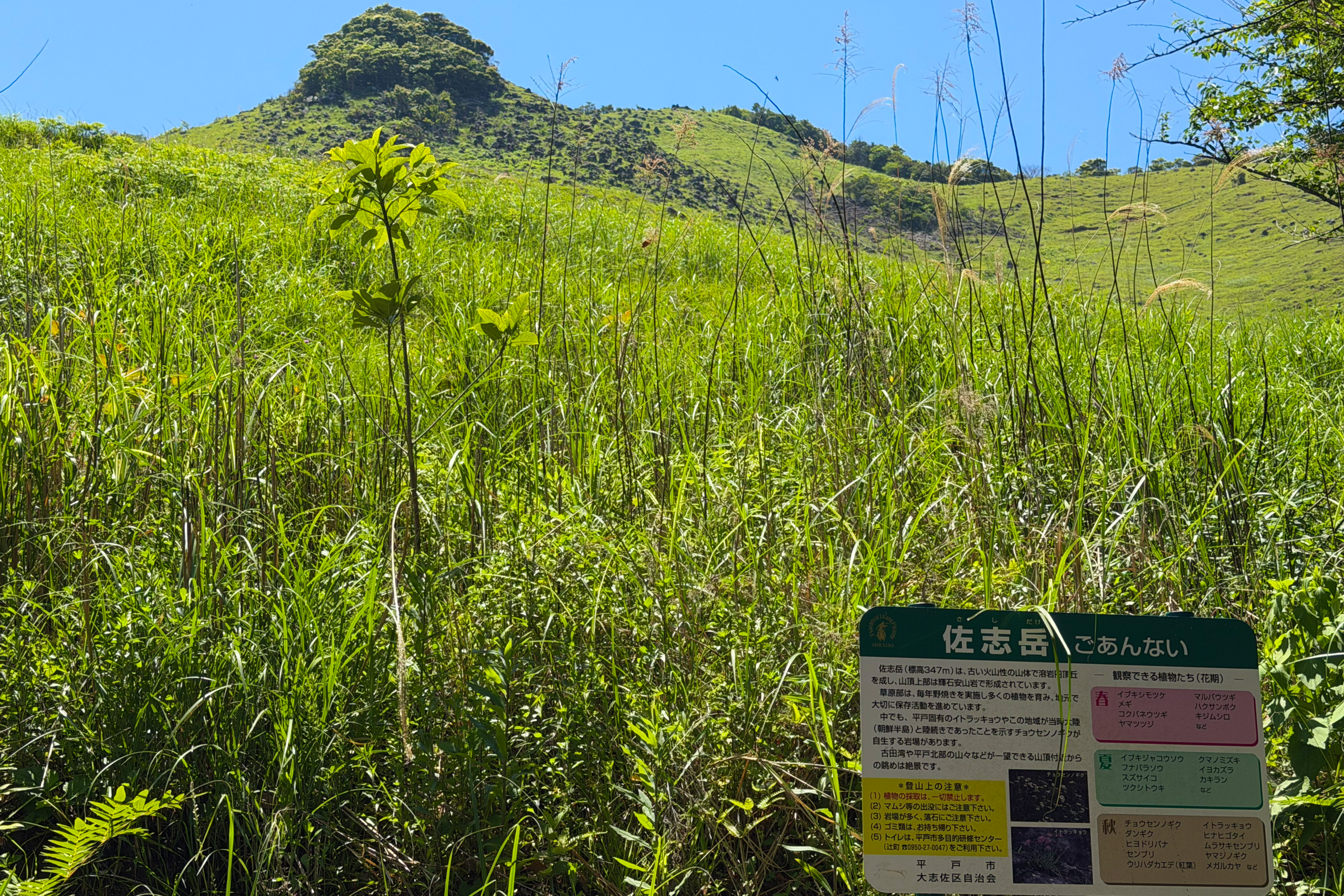 佐志岳 登山道