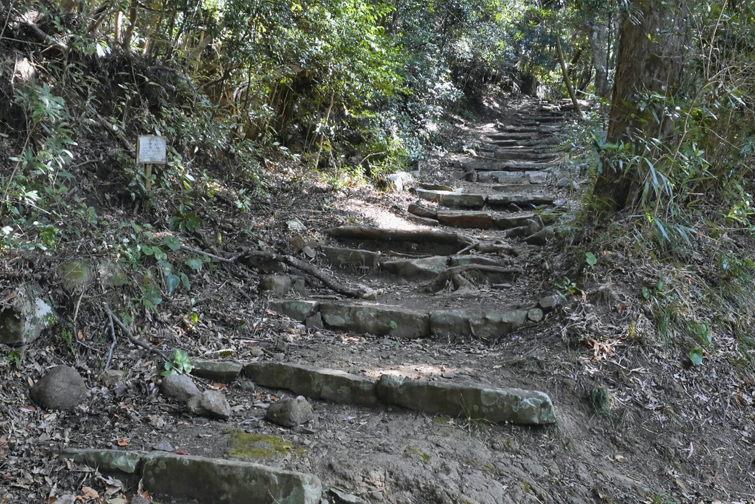志々伎山 参道と鳥居