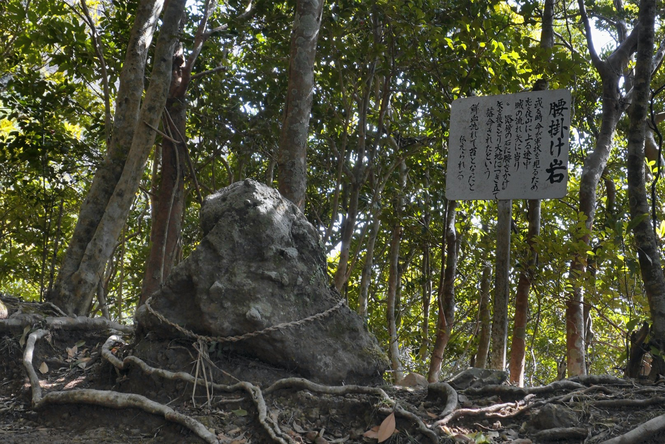 志々伎山 ロープ場
