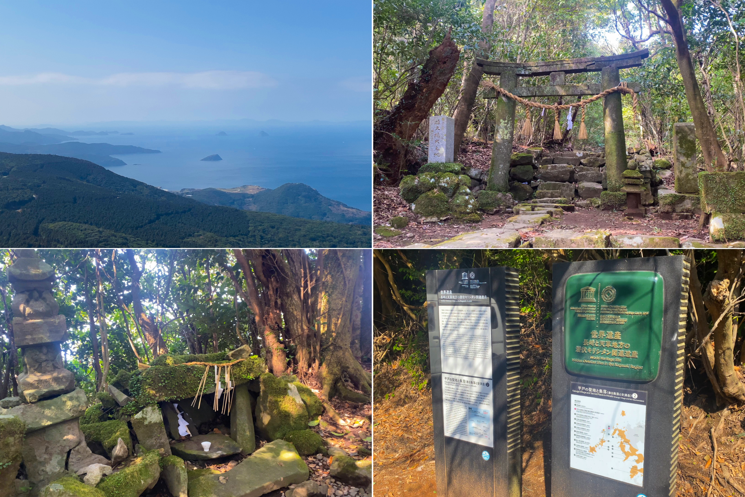 安満岳の原生林と山頂