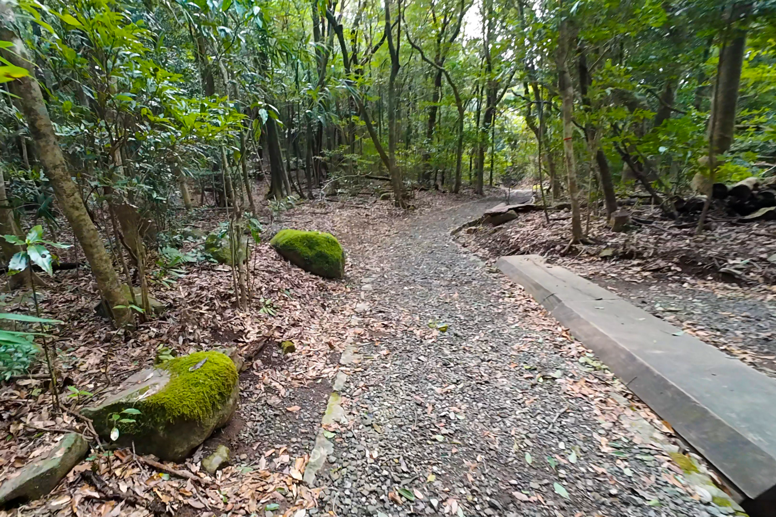 安満岳 参道