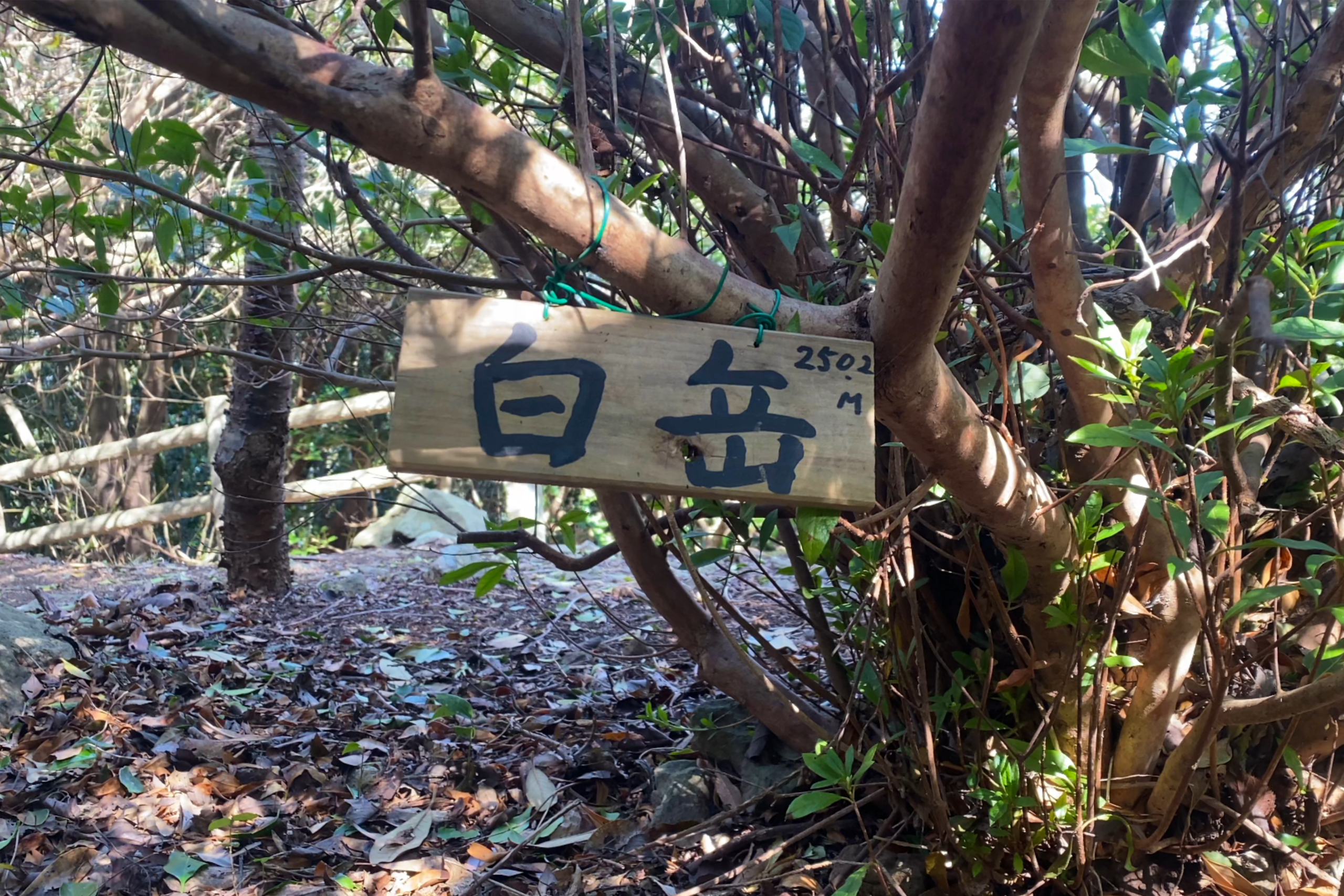 白岳 山頂付近の歩道