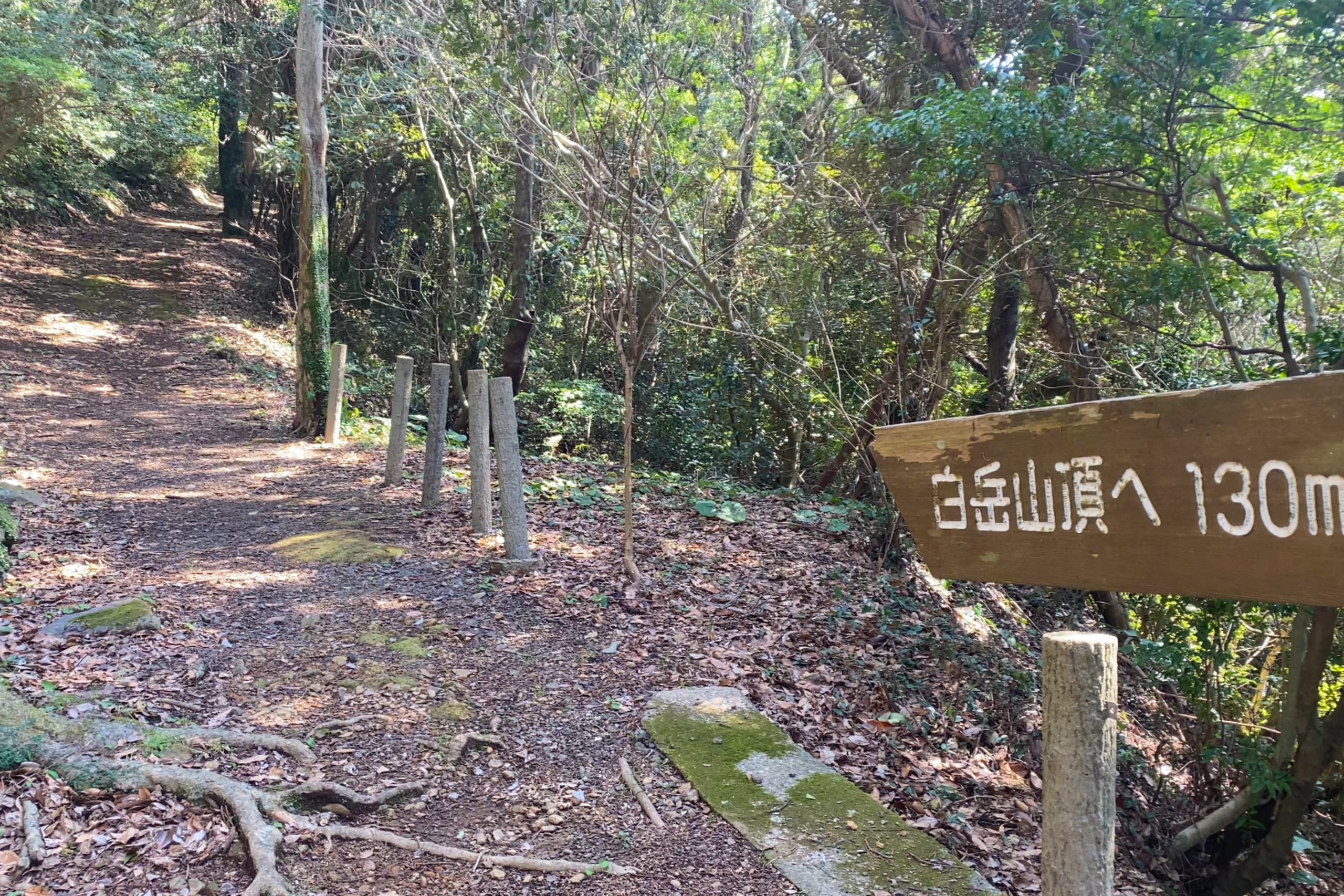 白岳公園の駐車場周辺