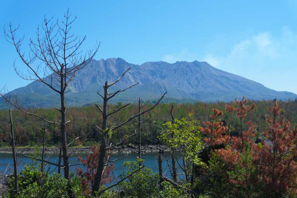 桜島