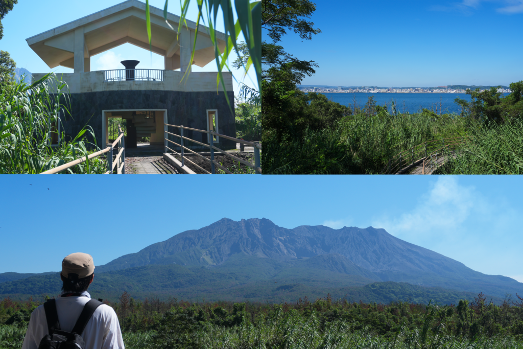 桜島溶岩展望所