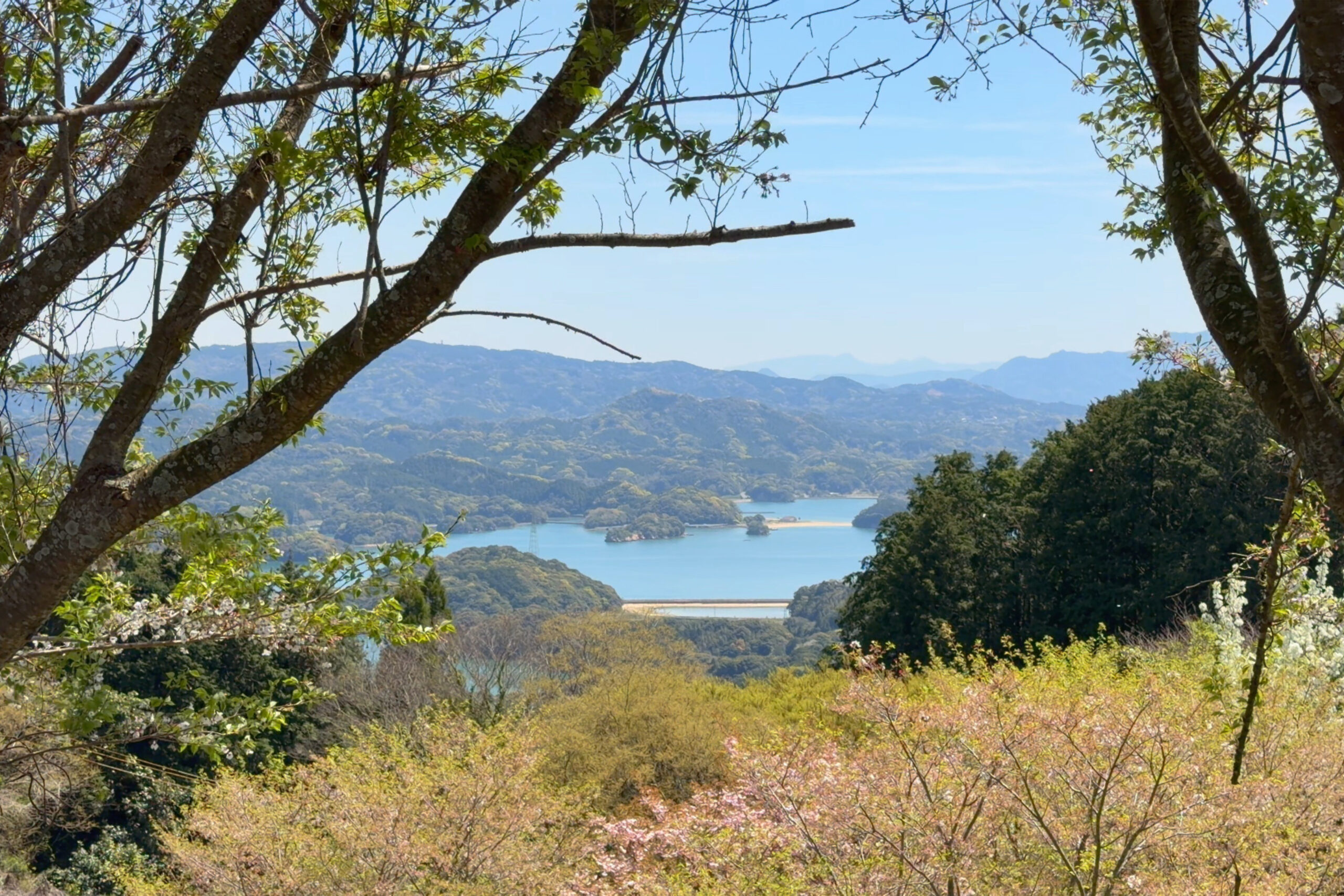 大山公園からの景色