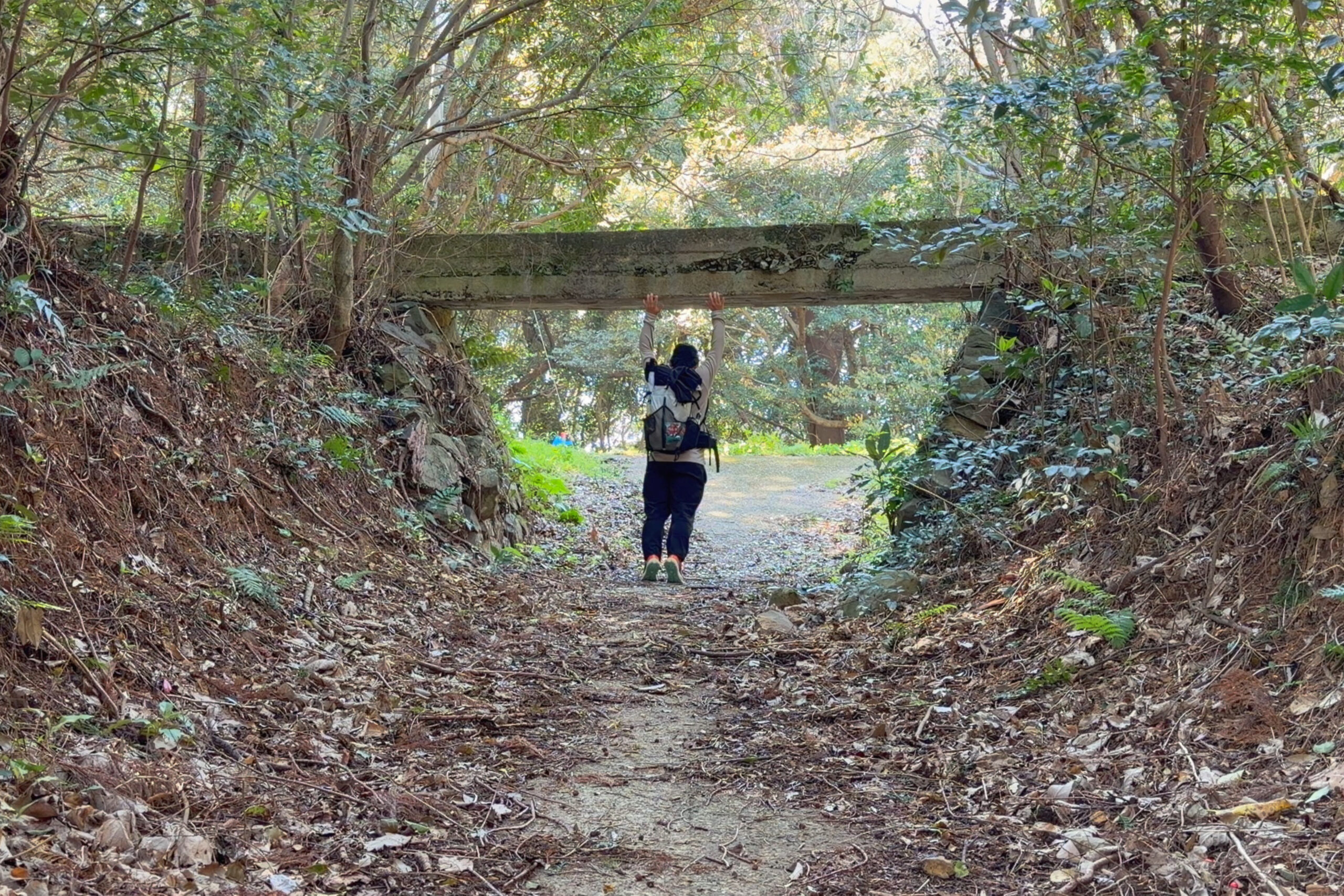 山道から舗装路