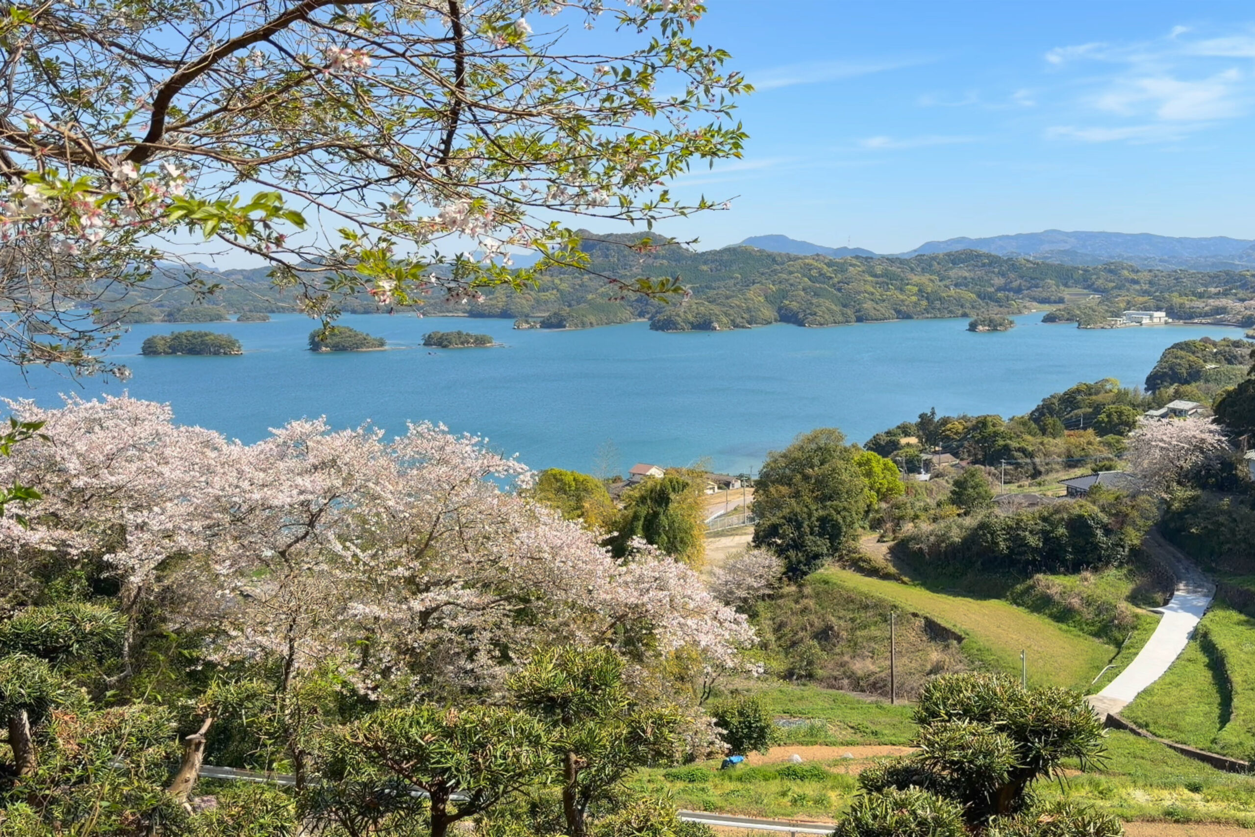 桜とイロハ島