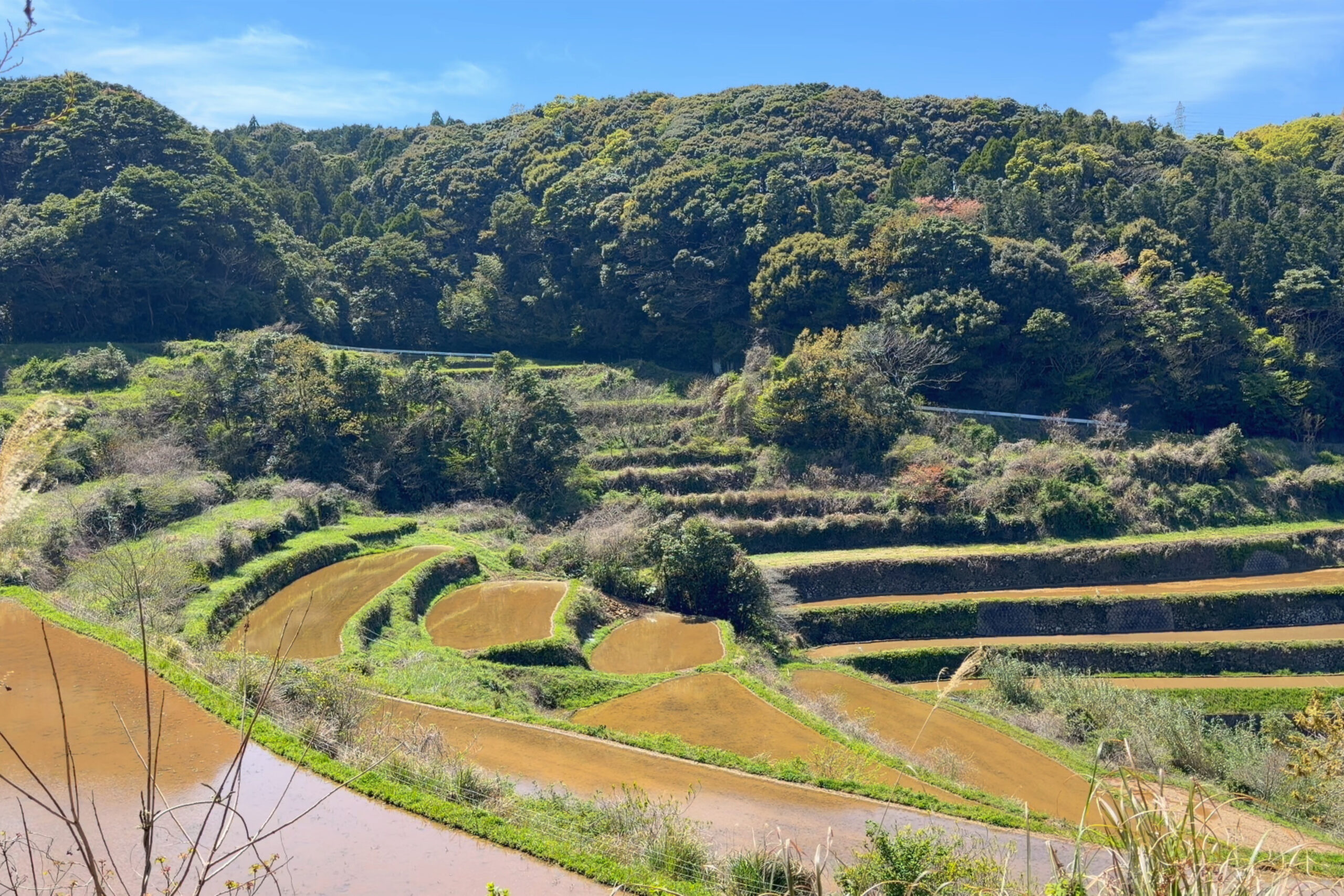 棚田