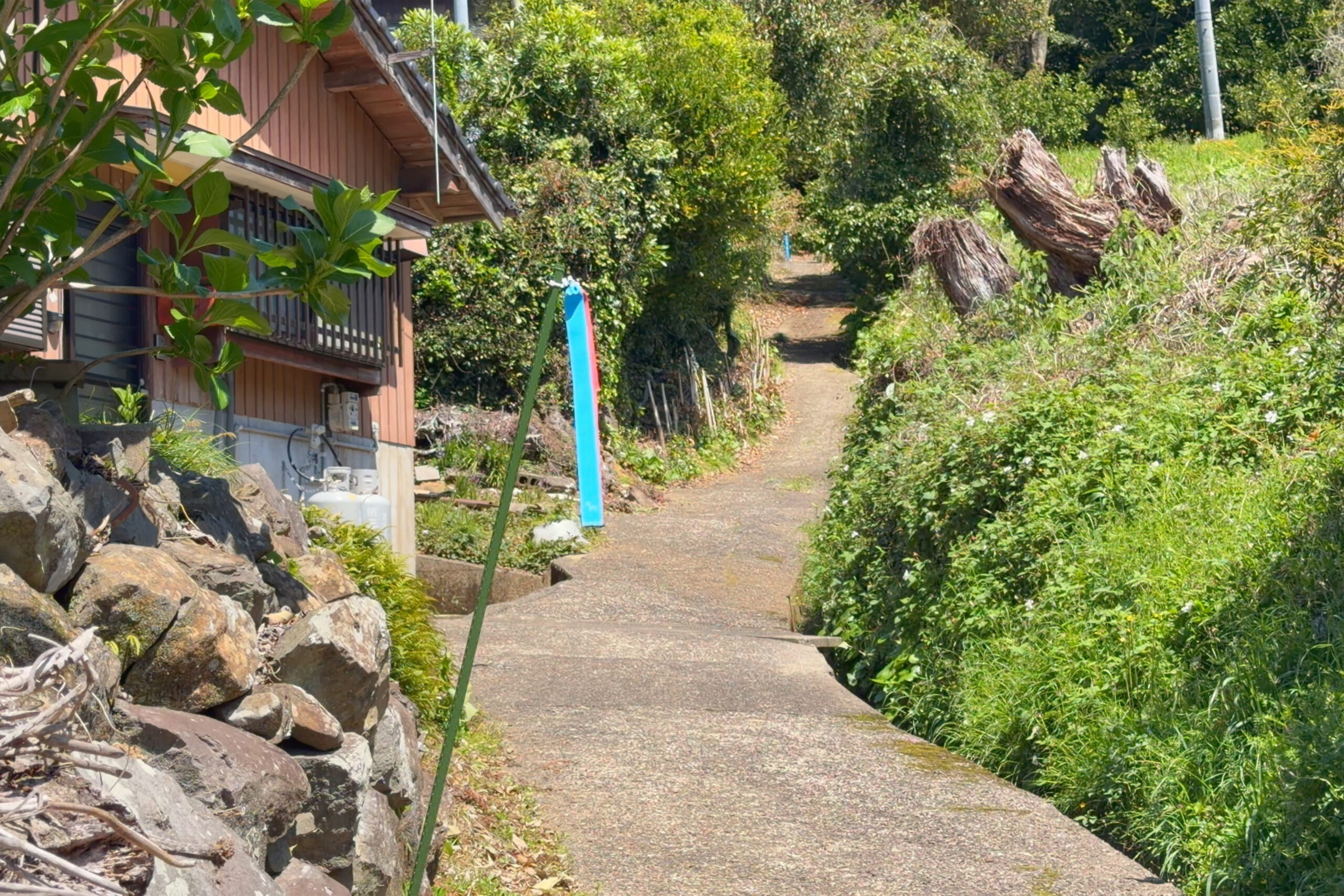 路地