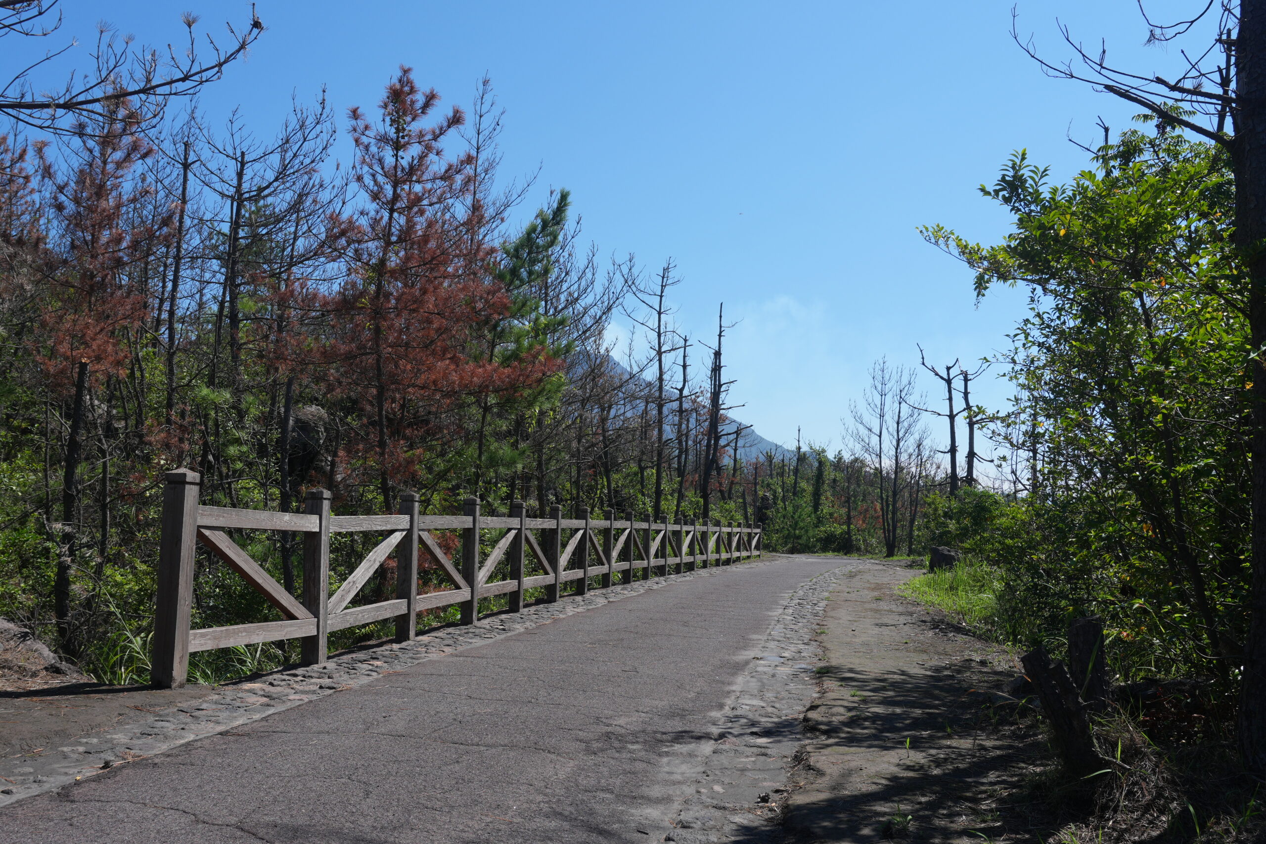溶岩なぎさ遊歩道